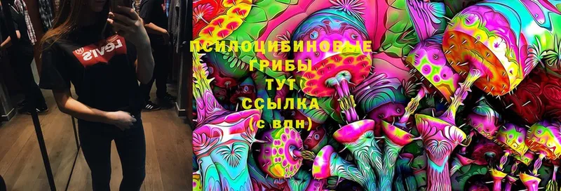 Псилоцибиновые грибы MAGIC MUSHROOMS  Венёв 